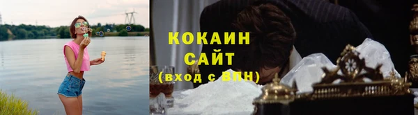 ГАЛЛЮЦИНОГЕННЫЕ ГРИБЫ Абаза