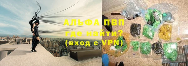 ГАЛЛЮЦИНОГЕННЫЕ ГРИБЫ Абаза